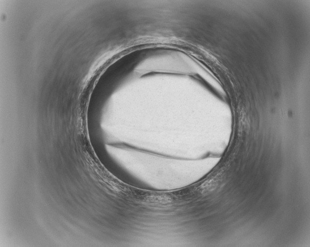 X0000054441215200508191602