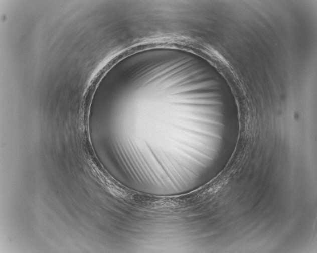 X0000054441216200508191602