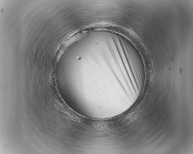 X0000054441217200508191602