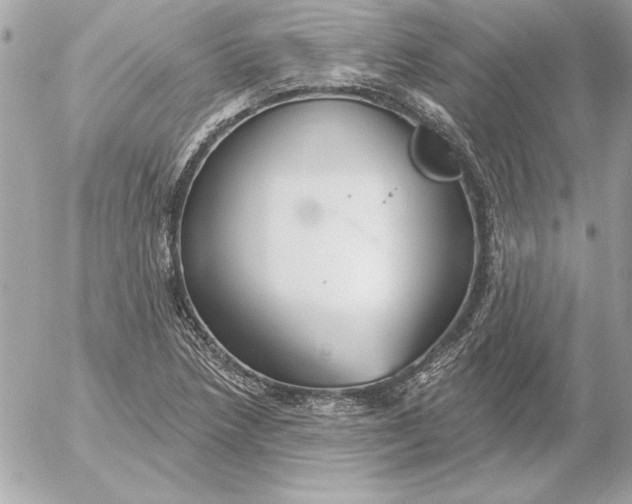 X0000054441218200508191602