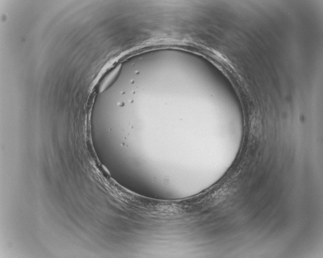 X0000054441220200508191603