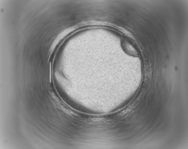 X0000054441223200508191603