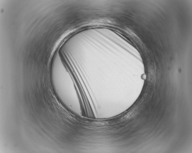 X0000054441224200508191603