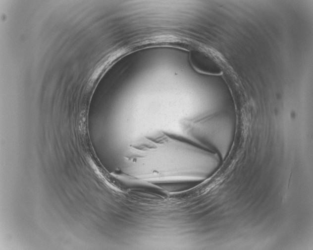 X0000054441225200508191603