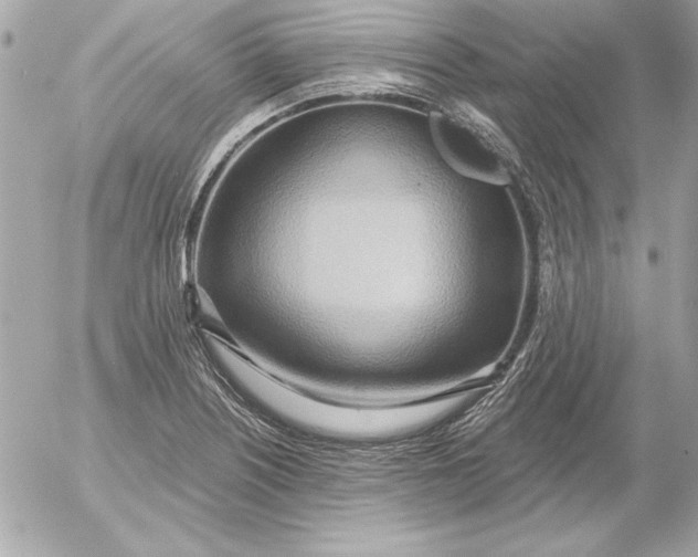 X0000054441226200508191603