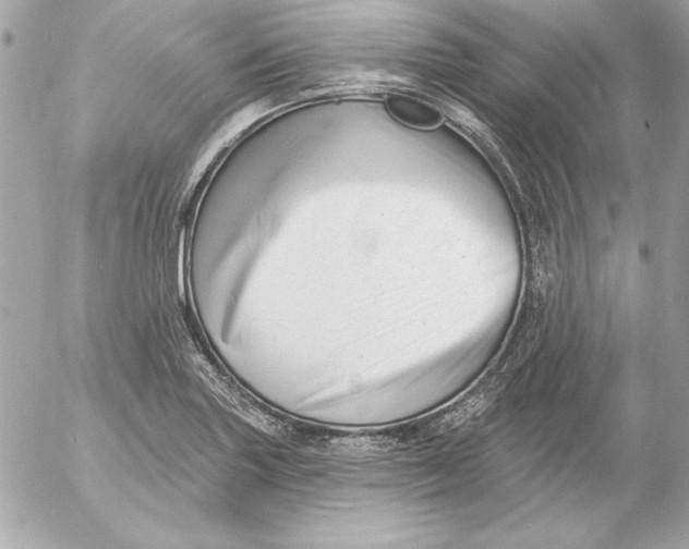 X0000054441227200508191603