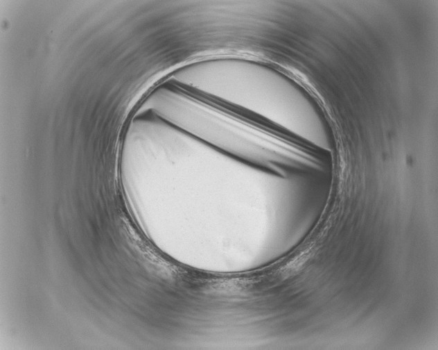 X0000054441228200508191603