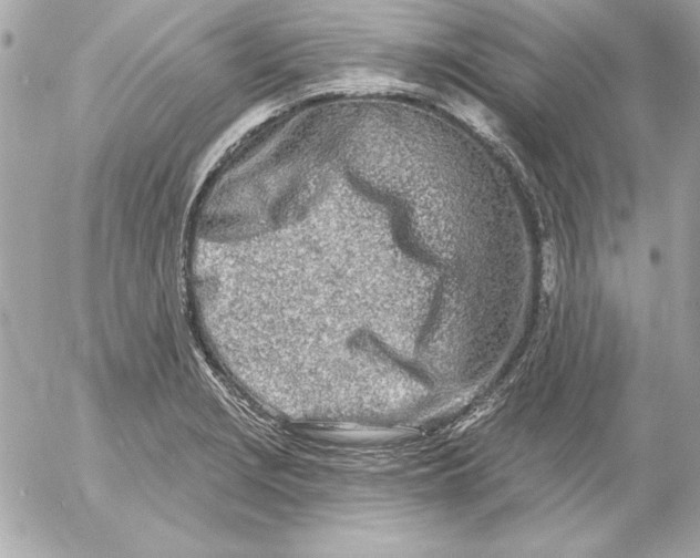 X0000054441229200508191603