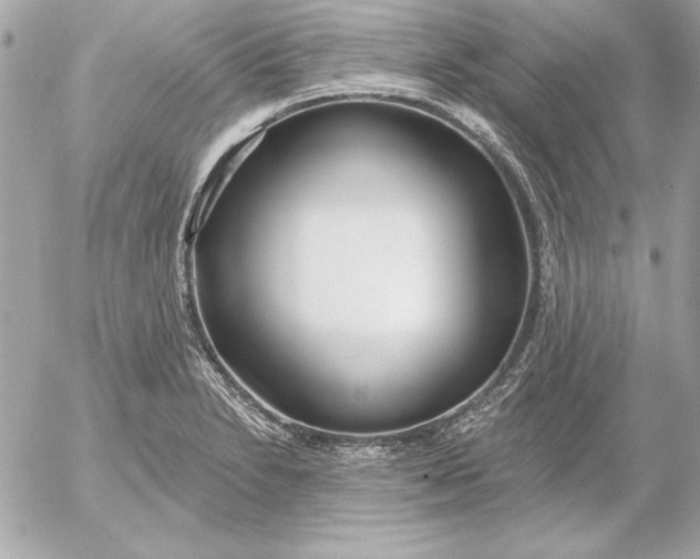 X0000054441230200508191603