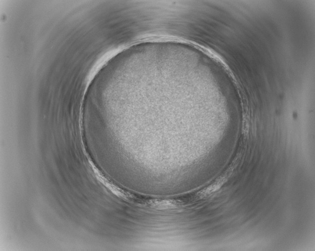 X0000054441231200508191603