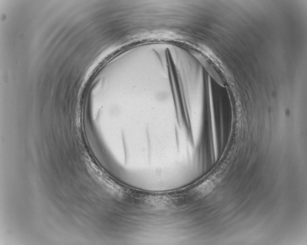 X0000054441232200508191603