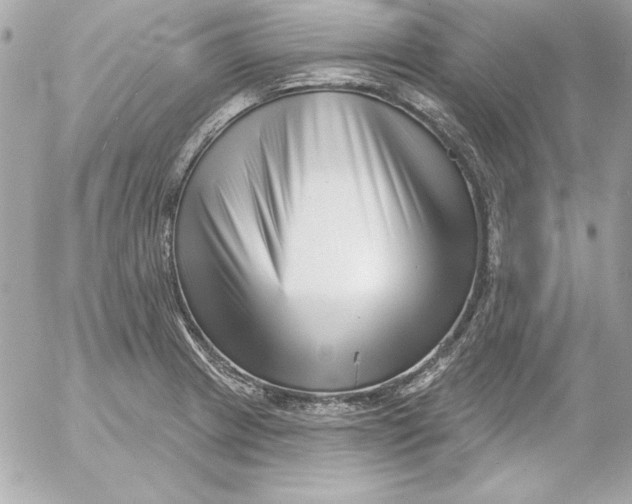 X0000054441233200508191603