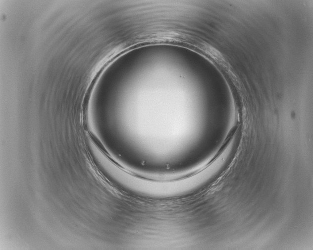 X0000054441234200508191603