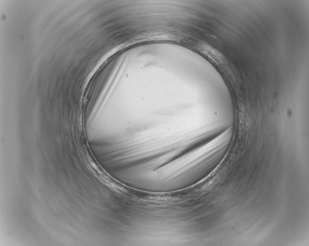 X0000054441236200508191603