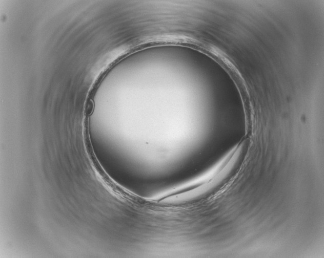 X0000054441237200508191603