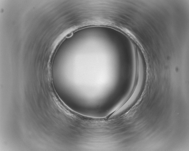 X0000054441238200508191603