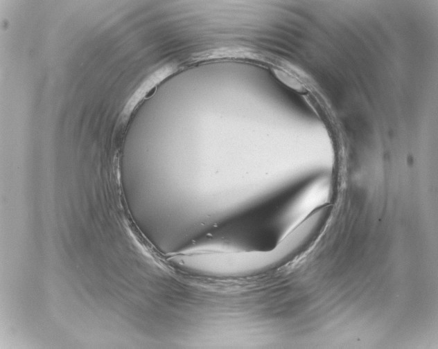 X0000054441241200508191603