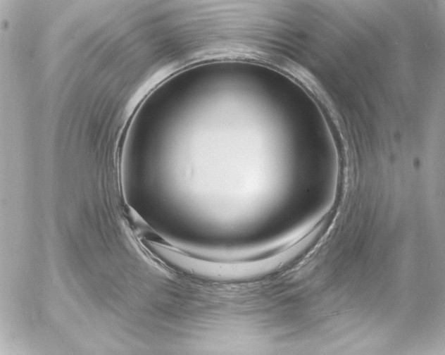 X0000054441242200508191603