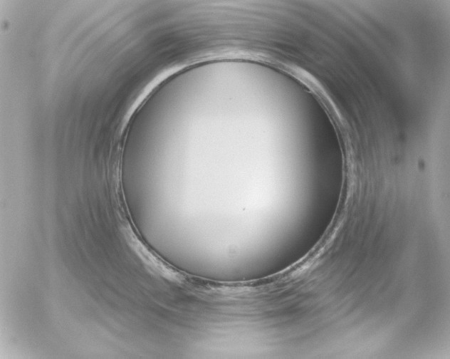 X0000054441244200508191603