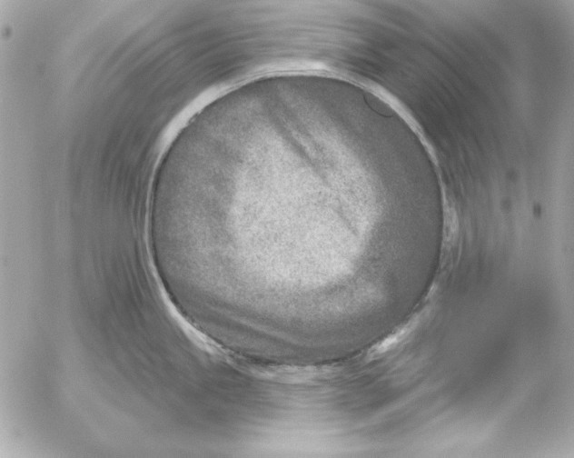 X0000054441245200508191603