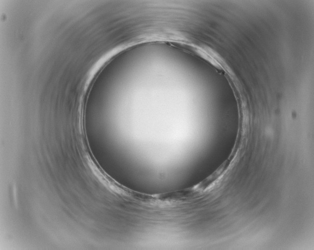 X0000054441246200508191603