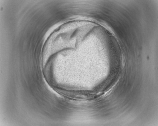 X0000054441247200508191603