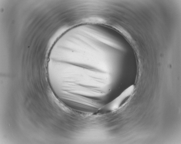 X0000054441248200508191603