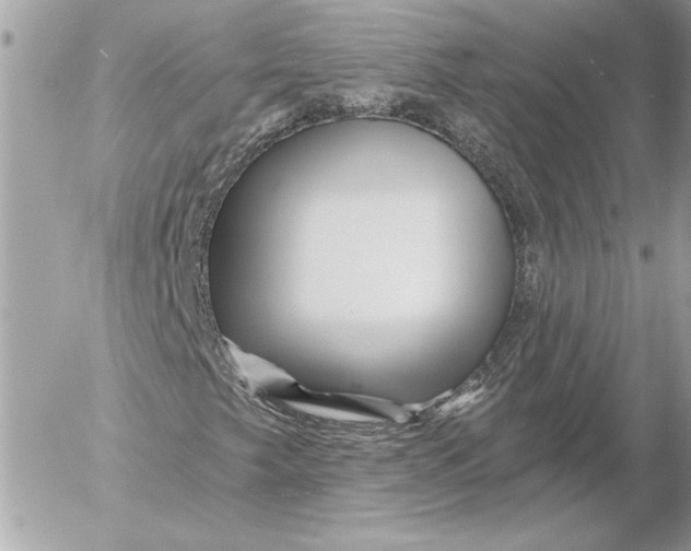 X0000054441249200508191602