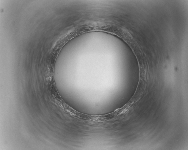 X0000054441253200508191602