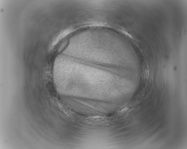 X0000054441255200508191602