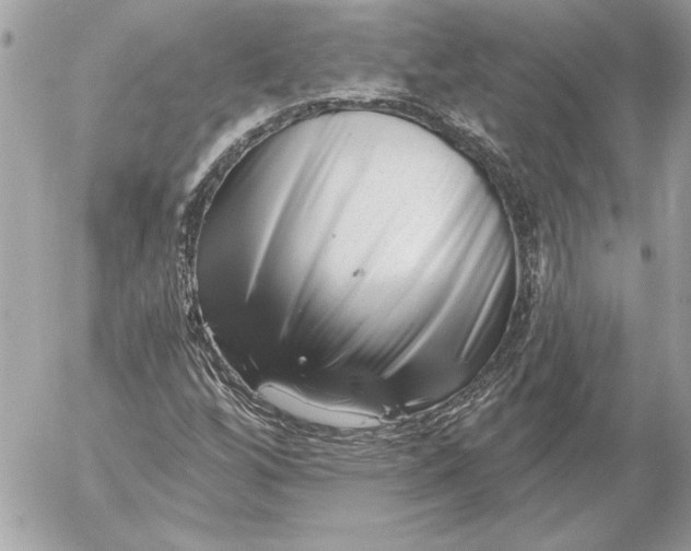 X0000054441256200508191602