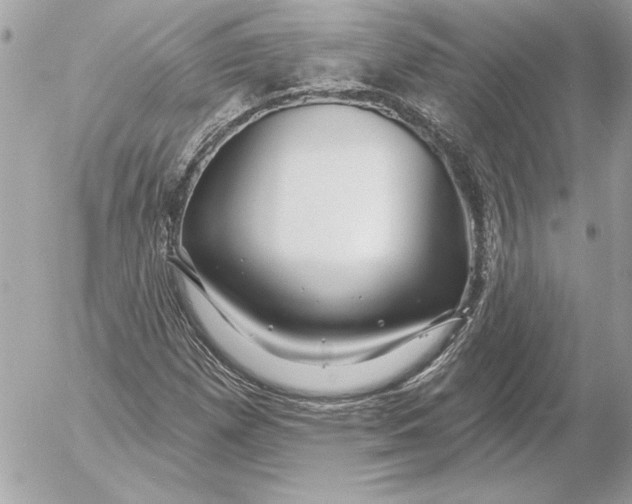 X0000054441257200508191602