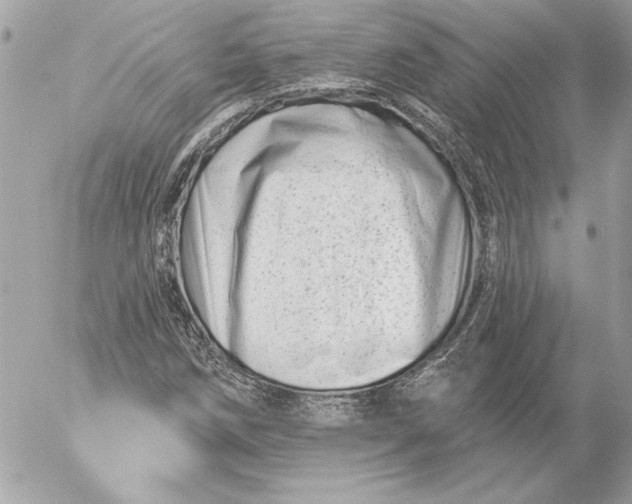 X0000054441258200508191602