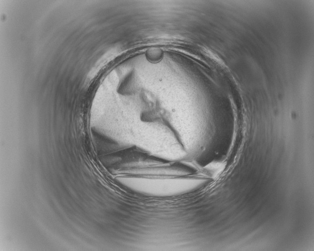 X0000054441259200508191602