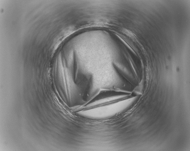 X0000054441260200508191602