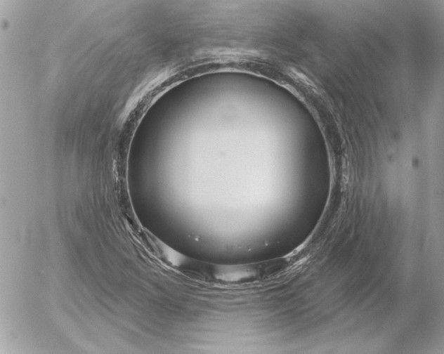 X0000054441261200508191602