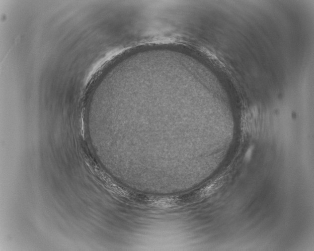 X0000054441262200508191602