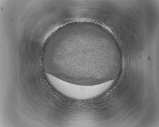 X0000054441263200508191602