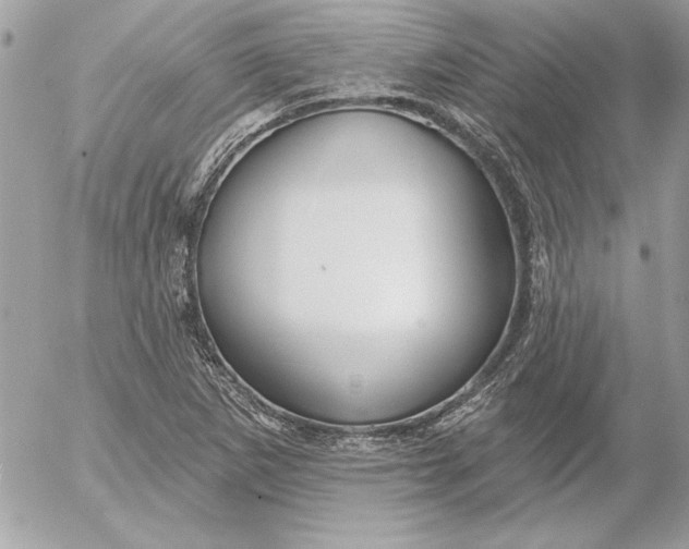 X0000054441265200508191602