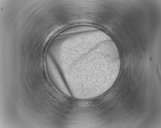 X0000054441266200508191602