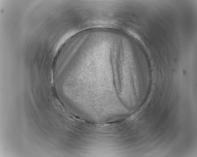 X0000054441267200508191602