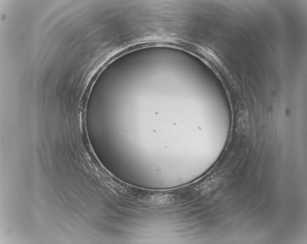 X0000054441268200508191602