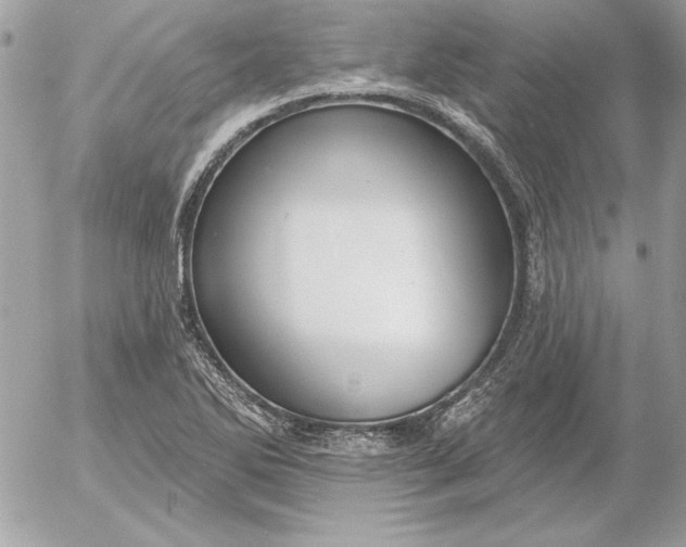 X0000054441270200508191602