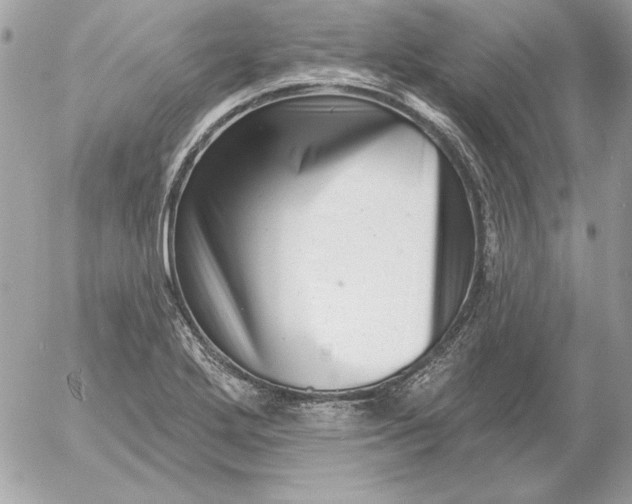 X0000054441272200508191602