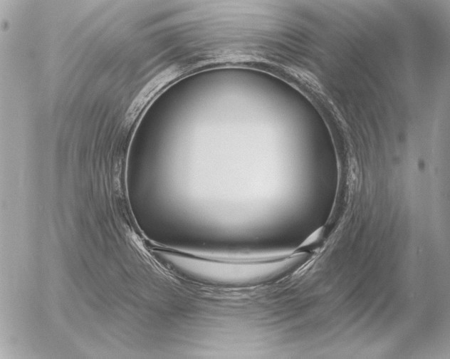 X0000054441273200508191602