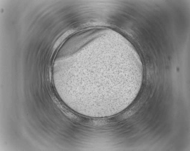 X0000054441274200508191602