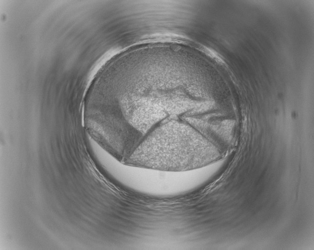 X0000054441275200508191602