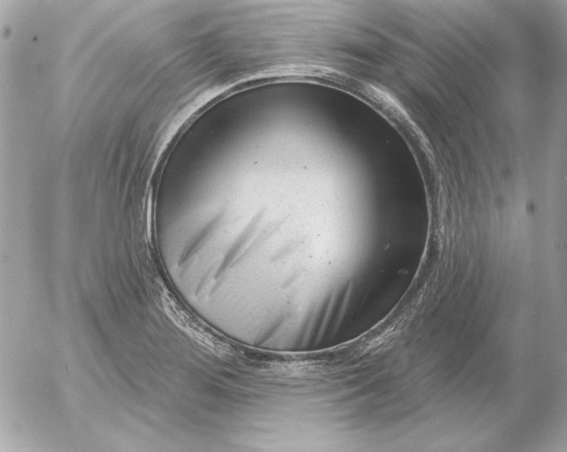 X0000054441276200508191602