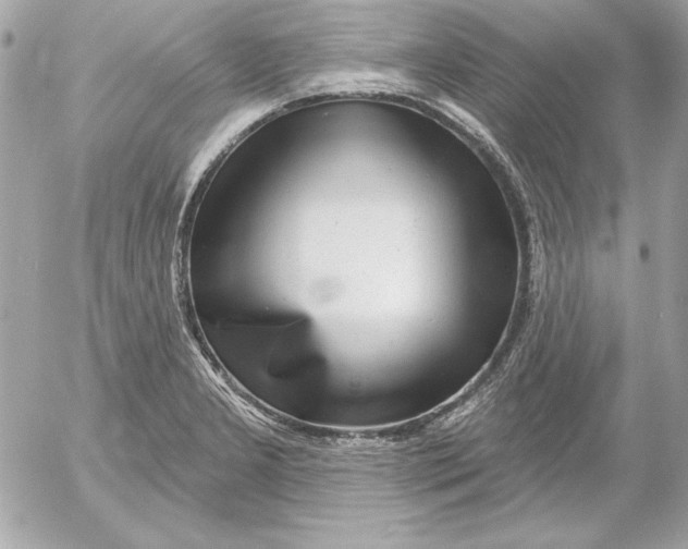 X0000054441277200508191602