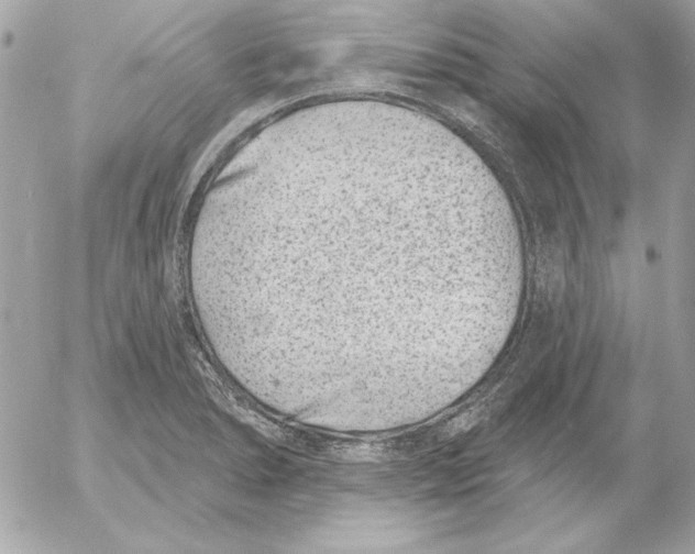 X0000054441278200508191602